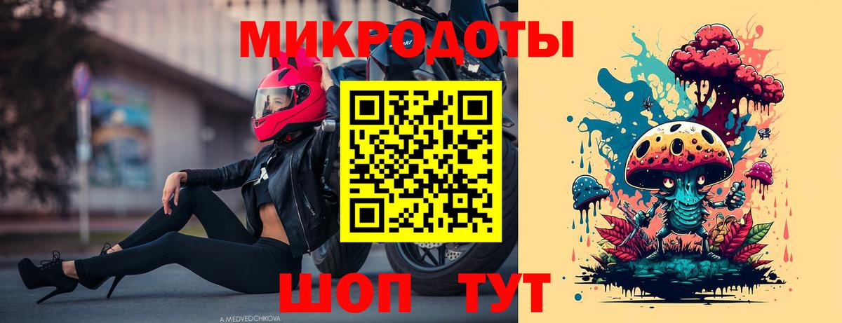 Галлюциногенные грибы Psilocybe Ефремов
