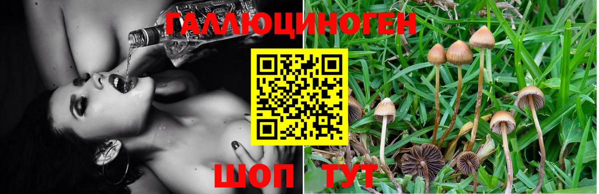 наркота  Вход с VPN  Ефремов  Галлюциногенные грибы Cubensis  Псилоцибиновые грибы мицелий 